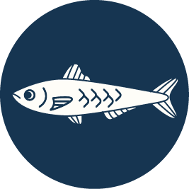 Anchovy-1