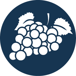 Fruit-1
