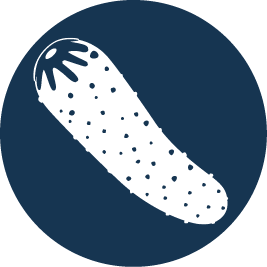 Pickle-1